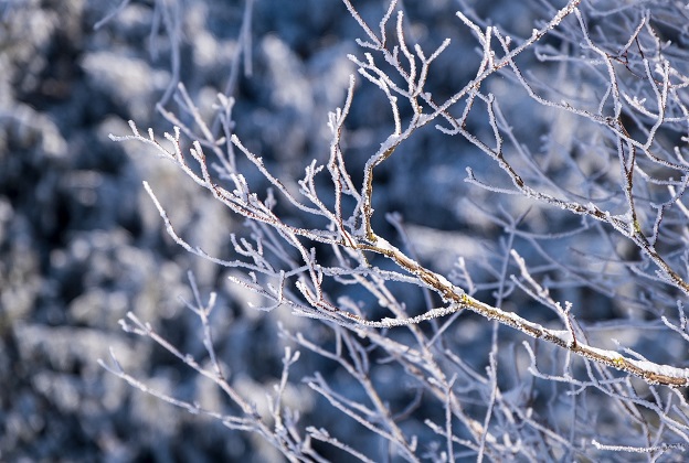 Cold Weather Survival, how to survive cold