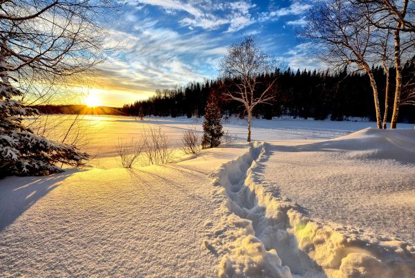 Snow Storm survival tips, how to survive freezing temperatures