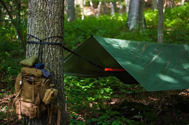 bushcraft 101, best survival handbook