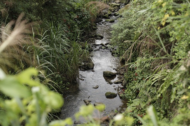 water survival, survival drinking water