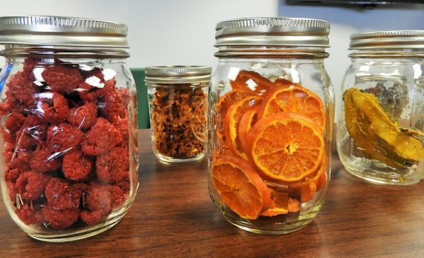 best dehydrated food