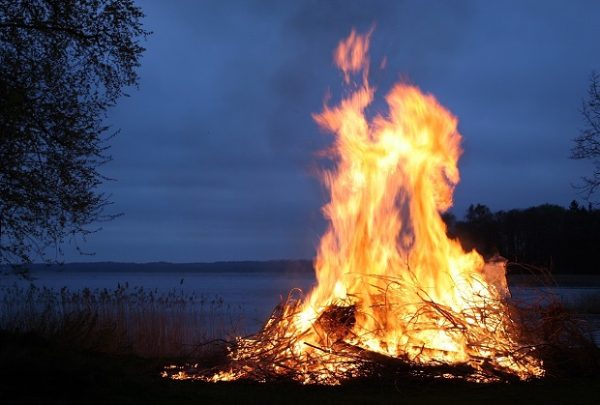bushcraft survival