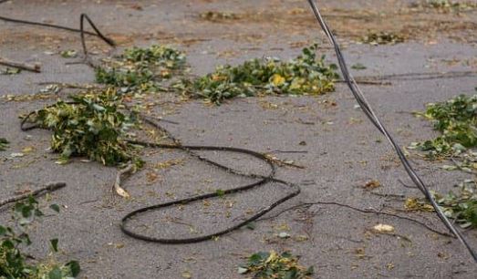 Downed power line